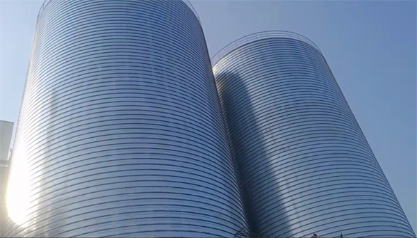 安塞2座混凝土高架卷板仓